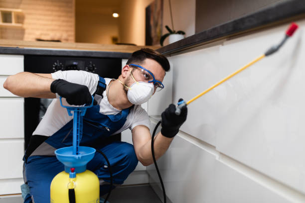 Best Pest Prevention Services  in Troy, MO