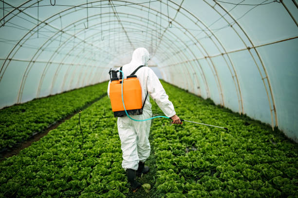 Best Commercial Pest Control Services  in Troy, MO
