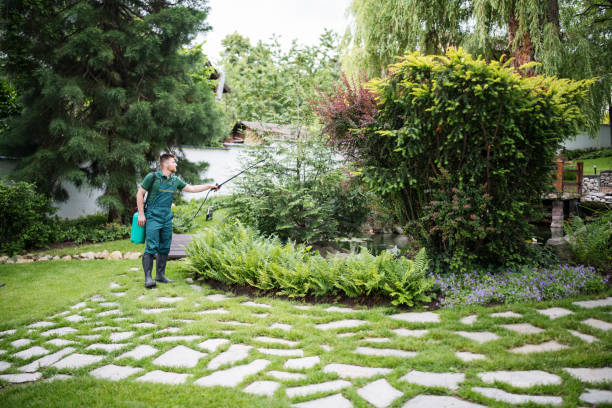 Professional Pest Control in Troy, MO