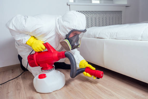 Best Wasp Removal Services  in Troy, MO
