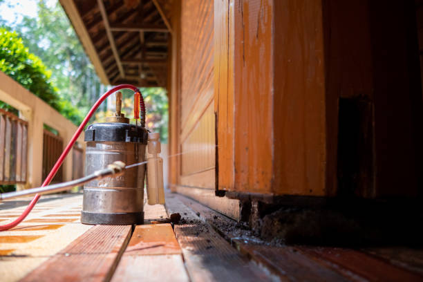 Best Pest Removal Services  in Troy, MO
